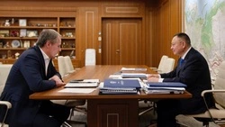 Вячеслав Гладков доложил главе Минстроя и ЖКХ РФ Иреку Файзуллину о подготовке резервной генерации