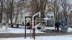 В Белгороде не только сезон украшений к Новому году, но в самом разгаре посадка тюльпанов  