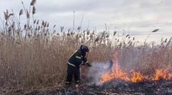 Спасатели призвали белгородцев не разводить костры и не жечь мусор