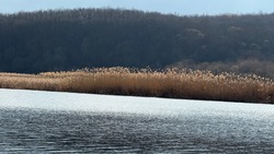 Работы по очистке водоёмов начнутся в девяти районах Белгородской области
