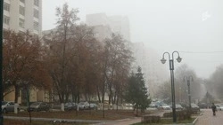 Облачная и тёплая погода ожидается в Белгородской области на выходных