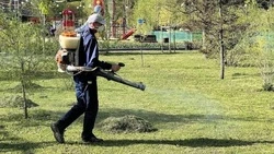 Белгородцев предупредили об акарицидной обработке Армячего Лога и Архиерейской рощи в среду 