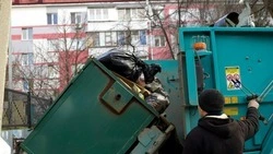 ЦЭБ попал под служебное расследование из-за отсутствия ответов на вопросы белгородцев