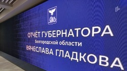 Непростой год: Гладков подвёл итоги работы белгородского правительства в 2024 году