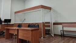 Уголовное дело возбуждено против водителя, сбившего старооскольскую школьницу на переходе