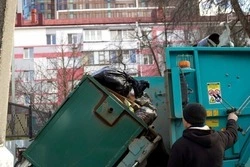 Белгородский «Еврологистик» намерен подать на банкротство из-за долгов