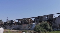 Пять предприятий Шебекинского округа претендуют на участие в СЭЗ