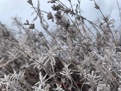 Мокрый снег и гололедица ожидаются в Белгородской области в субботу 
