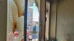 Врио главы региона Шуваев рассказал о 53 атаках ВСУ на территорию Белгородской области за сутки
