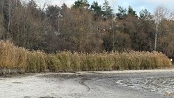 Спасатели предупредили белгородцев о сильном ветре во вторник 