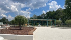 Синоптики прогнозируют дефицит осадков в Белгородской области в июле