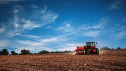 Более 90% посевных площадей зерновых и зернобобовых культур засеяли белгородские фермеры