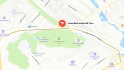 В Белгороде женщина погибла под колёсами двух автомобилей