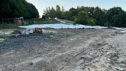 Белгородцы возмутились состоянием парка «Под Дубом»