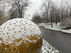 Пасмурная без осадков погода ждёт белгородцев на предстоящих выходных