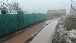 Жители села в Яковлевском округе могут добиться строительства дороги спустя 12 лет просьб