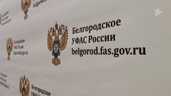 ФАС нашла нарушения при проведении тендера на благоустройство Белгорода