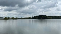 Более 7 млн рублей заплатили нарушители за ущерб окружающей среде в Белгородской области