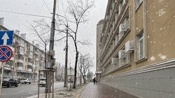 Мороз и снег вернутся на Белгородчину во вторник 