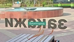 Подросток из Белгорода попытался разгромить кафе после ссоры с родителями