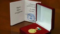 Руководитель «Белгородэнерго» награждён медалью I степени