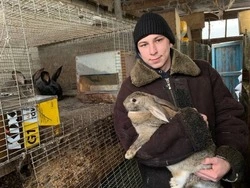 Молодой белгородец начал разводить кроликов благодаря соцконтракту