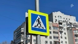 Более 900 человек пострадали в авариях на дорогах Белгородской области с начала года