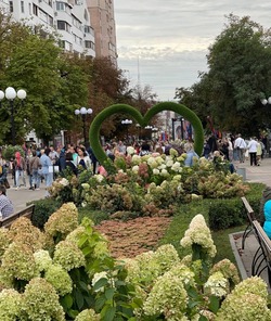 Цветочный фестиваль пройдет в Белгороде в начале сентября