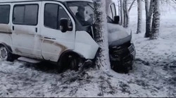 Маршрутная «ГАЗель» с 12 пассажирами вылетела с дороги и врезалась в дерево в Волоконовском округе