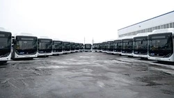 В Белгородской агломерации 27 новых комфортабельных автобусов выйдут на маршруты с 1 февраля