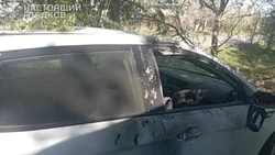 В Белгородской области при атаках ВСУ ранены двое мирных жителей