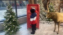 Более 400 отделений новогодней почты Деда Мороза открылись в Белгородской области 