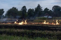 Поджигатель сухой травы заплатит 100 тысяч рублей за вред животному миру в Белгородской области