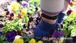 Вячеслав Гладков поздравил белгородцев с Первомаем 
