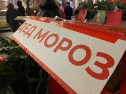 Праздник к нам приходит: во сколько белгородцам обойдётся вызов Деда Мороза