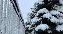 Погода порадует белгородцев снегом в последний день рабочей недели 