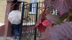 Спасатели предупредили белгородцев о сильном ветре в пятницу