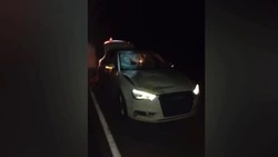 62-летний белгородец погиб под колёсами иномарки в Алексеевском округе 