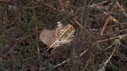 В белгородских школах введут ежедневные занятия по минной безопасности