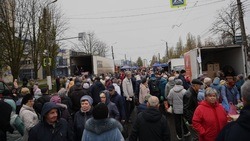 В Белгороде могут изменить схему движения транспорта на Королёва на время субботних ярмарок