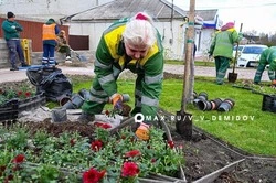 5 000 высаженных цветов украсят новый Вечный огонь на Красноармейской в Белгороде