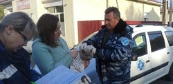 В Белгороде с 19 мая по 20 июня пройдёт бесплатная вакцинация домашних животных от бешенства