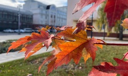 Синоптики предупредили белгородцев о дожде в пятницу 