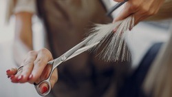 Жители Белгородской области потратили 2,5 млрд рублей на услуги салонов красоты в 2022 году
