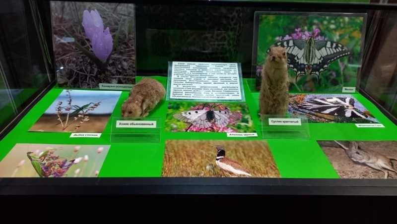 Музейный урок «По страницам Красной книги»