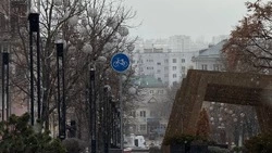 Мокрый снег, туман и гололёд ожидаются в Белгородской области в среду 