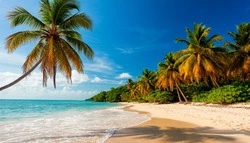 Чума и лихорадка: какие страны являются самыми опасными для белгородцев в новогодние праздники? 