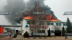 В здании шебекинского предприятия произошёл пожар