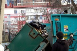 Белгородский «Еврологистик» намерен подать на банкротство из-за долгов