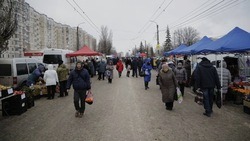 Субботнюю фермерскую ярмарку в Белгороде не будут проводить 27 января